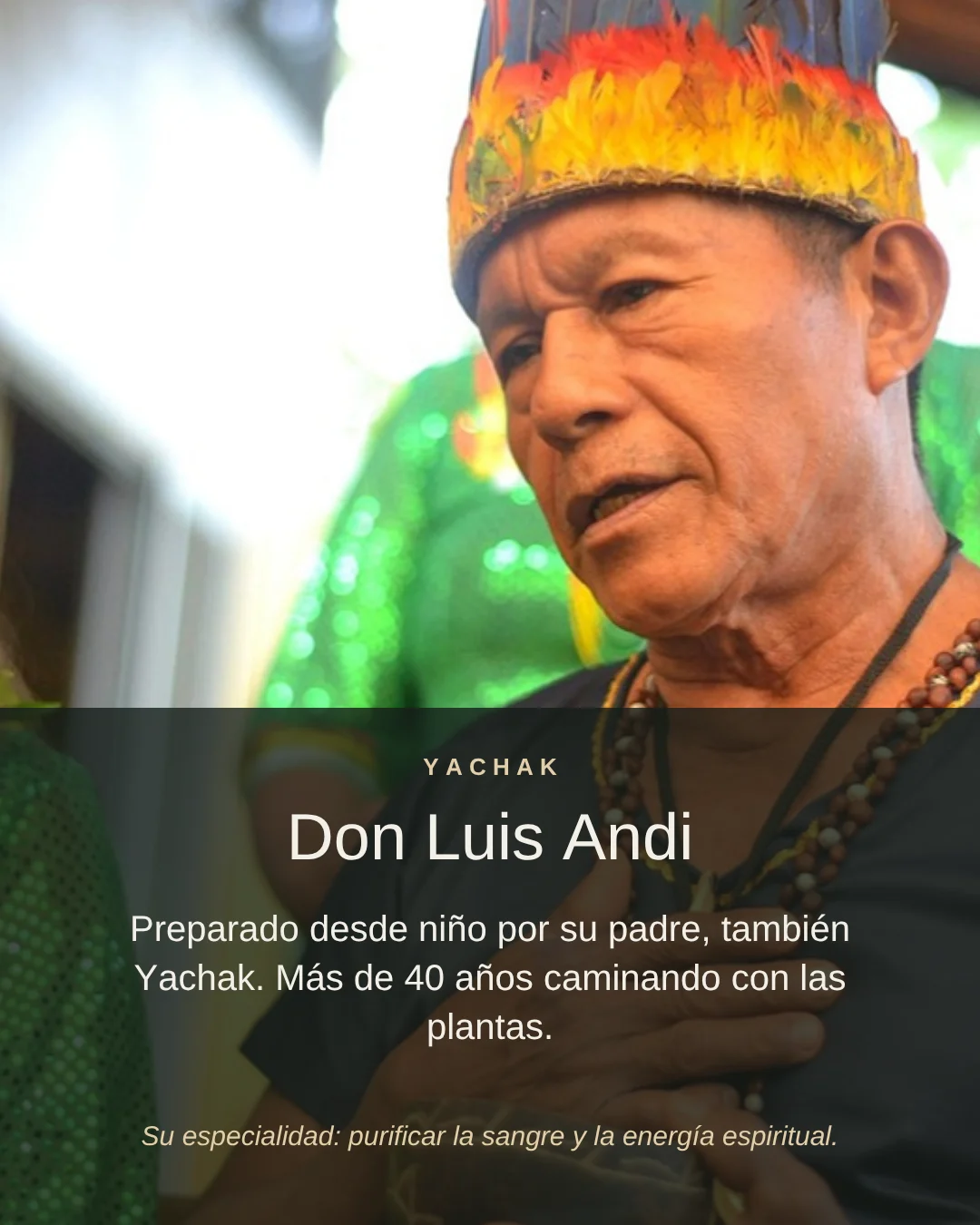 Don Luis Andi, yachak kichwa con más de 40 años caminando con las plantas